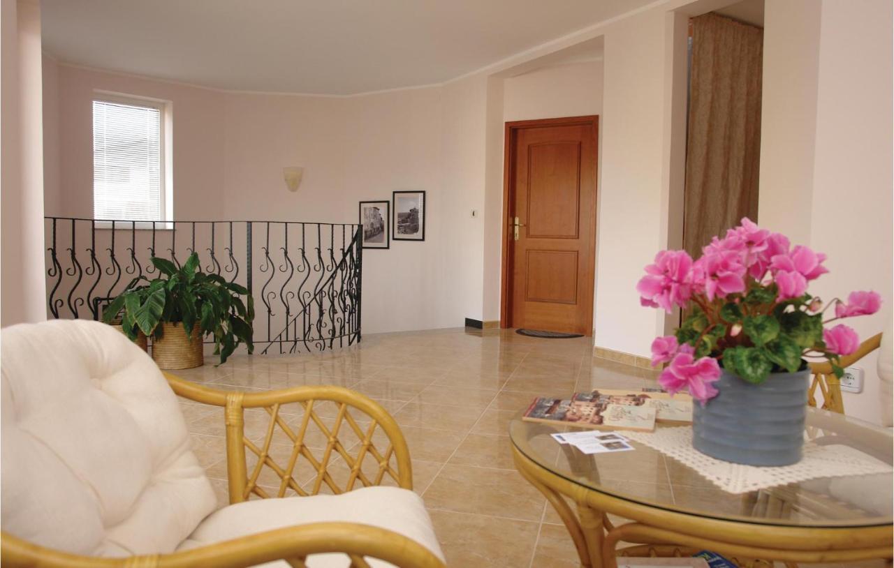 Nice Apartment In Novigrad With Ethernet Internet Exterior photo